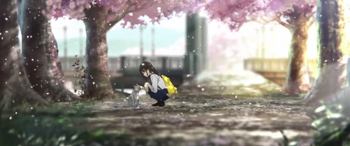 La película de Kimi no Suizou wo Tabetai confirmó fecha de estreno ETC