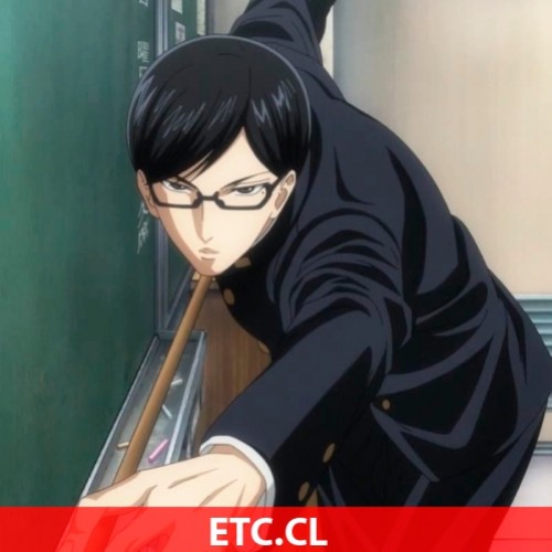 Reseña, Sakamoto desu ga? – La perfección existe