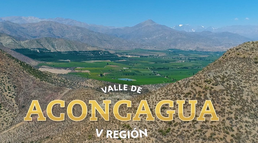 Cultura, gastronomía y campo: Los imperdibles del Valle de Aconcagua