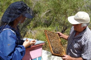 ¡María José Bello se convirtió en una apicultora!