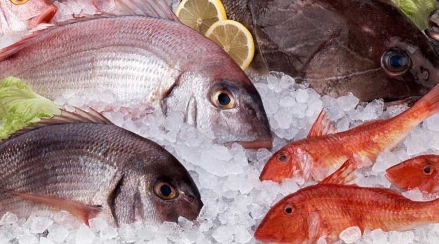 Descubre cómo reconocer pescados y mariscos frescos