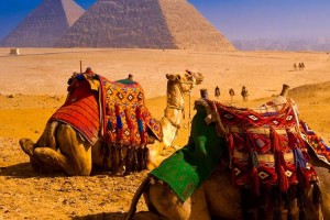 ¿Cuánto dinero necesito para ir a Egipto?