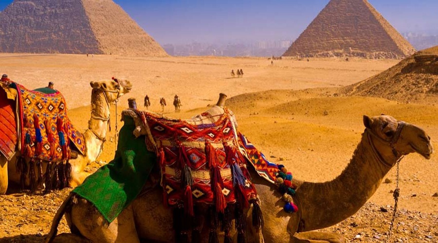 ¿Cuánto dinero necesito para ir a Egipto?