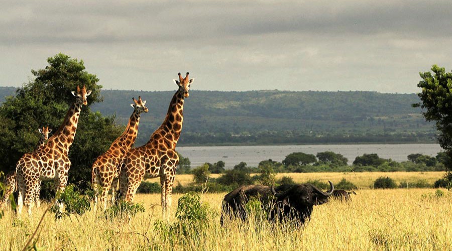 FOTOS: Los increíbles paisajes de Uganda