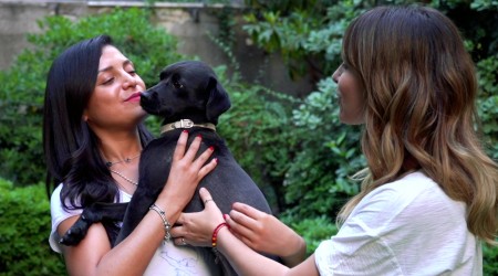 Pic A Pet #Capítulo 2: Touch encuentra un hogar feliz