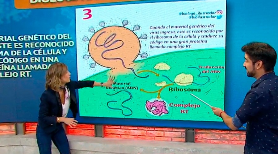 El biólogo Felipe Serrano explicó a través de dibujos el comportamiento del coronavirus en el cuerpo