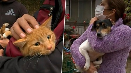 Campaña "Las Mascotas también comen" ya tiene sus primeras donaciones para perros y gatos abandonados