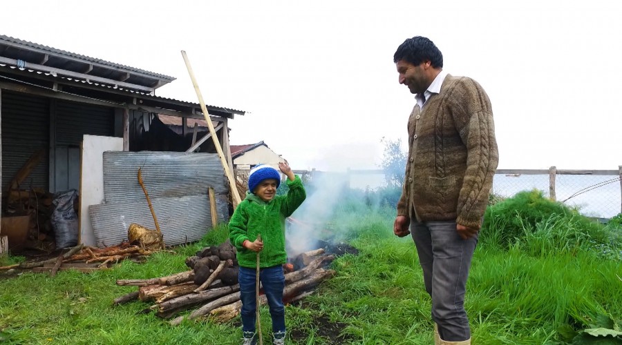 "Chile Chico": Revive el viaje de Miguelito al corazón de la isla de Chiloé