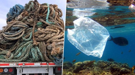 Empresa chilena transforma residuos plásticos para salvar la Patagonia