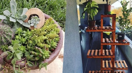 Desde cactus a muebles hechos con amor en el especial decoración de Emprendedores Mega