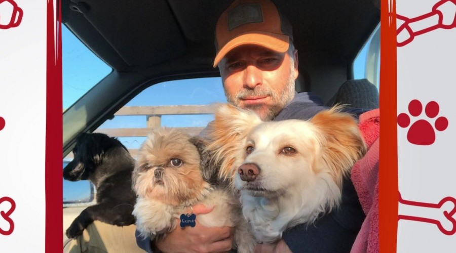 Paulo Brunetti nos cuenta su experiencia con sus tres perritos en "Conexión única con mis mascotas"