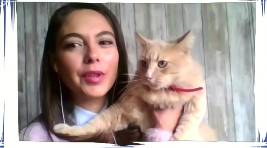 Ángeles Araya nos muestra a su gatita "Julieta Shakespeare Araya" en "Conexión única con mis mascotas"