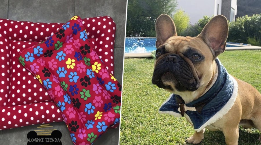 Emprendedores Mega: Revisa nuestro Especial Mascotas con datos de artículos o servicios para animales Emprendedores Mega: Revisa nuestro Especial Mascotas con datos de artículos o servicios para animales