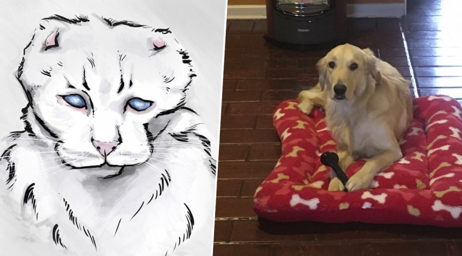 Especial Mascotas: Destacamos camas para animales a ilustraciones personalizadas en Emprendedores Mega