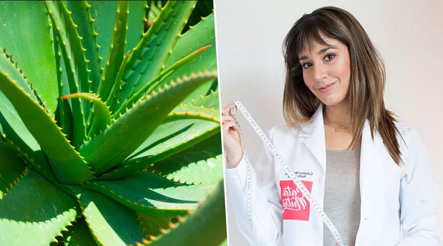 #5TipsLive: Cata 'la nutri' explica cómo aprovechar los beneficios del Aloe vera