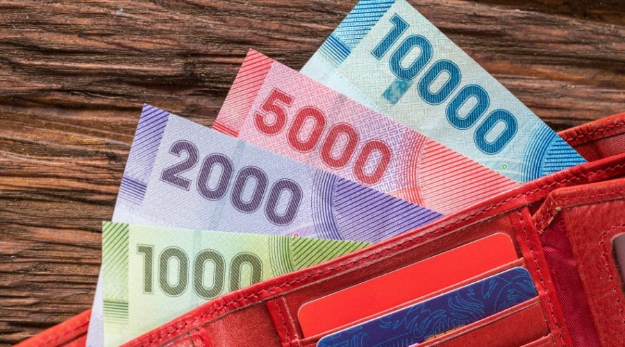 Así es el formulario de AFP Provida para retirar el 10% de los fondos previsionales