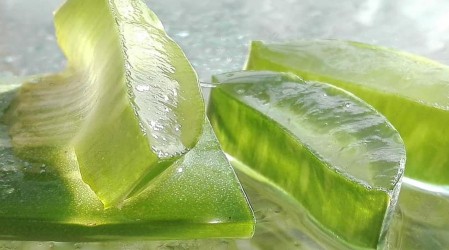 #5TipsLive: ¿Cómo sacar el gel de Aloe vera y cuánto tiempo se puede conservar?