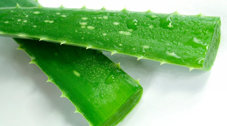 #5TipsLive: ¿En qué fijarse para elegir la versión más eficiente de Aloe vera?