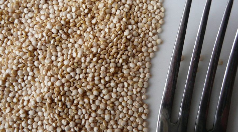 Cata "la nutri" nos explica los beneficios que tiene para la salud comer Quínoa