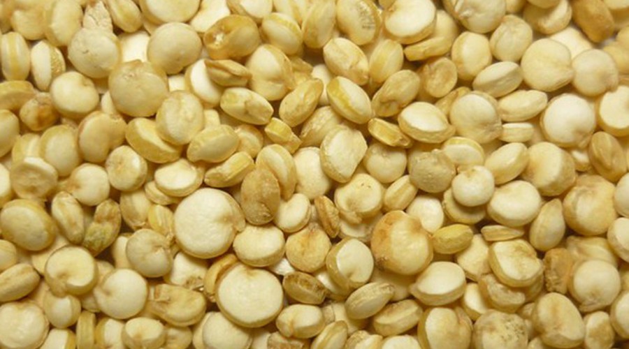 En repostería o como ensalada: Cata 'la nutri' comenta los múltiples usos en la cocina de la Quínoa En repostería o como ensalada: Cata 'la nutri' comenta los múltiples usos en la cocina de la Quínoa