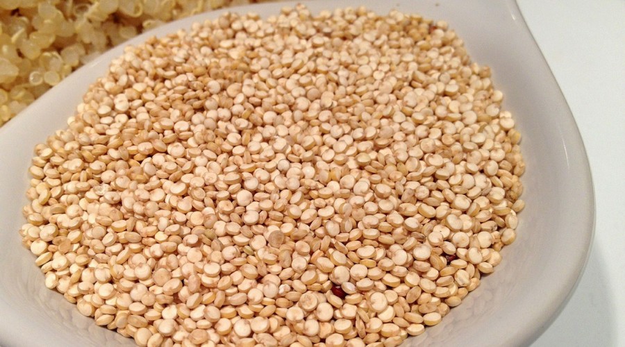#5TipsLive: ¿Cómo guardar y conservar la Quínoa? Cata "la nutri" lo explica