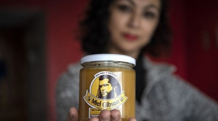 'Miel Gibson' sigue en la incertidumbre: Dueña aclara que no han llegado a acuerdo