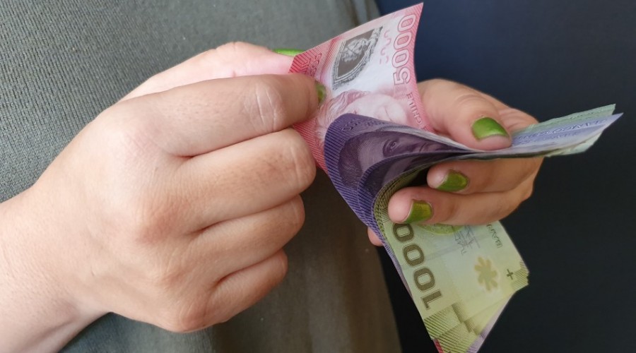 Ingreso Mínimo Garantizado: Revisa cómo postular y el estado de tu solicitud