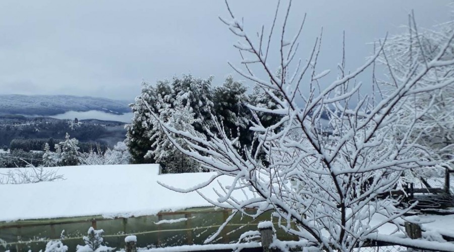 Intensa nevazón en Osorno por sistema frontal en la zona