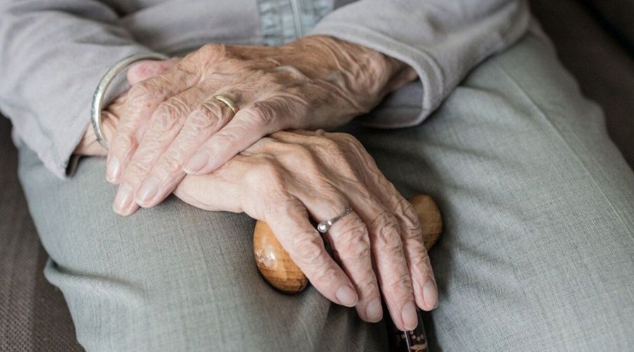 Anciana fue encontrada encerrada y comiendo su colchón para sobrevivir en El Quisco