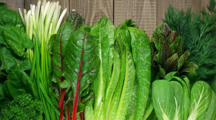 Aumentar el consumo de vegetales verdes es clave para eliminar toxinas