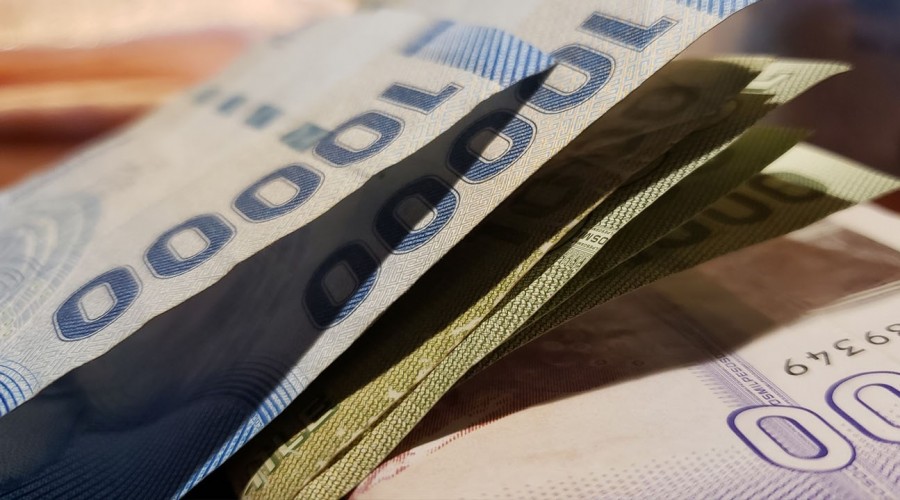 Revisa si eres beneficiaria del bono "Dueña de casa"