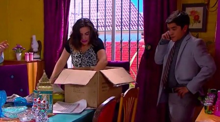 ¿A dónde irá Stella?