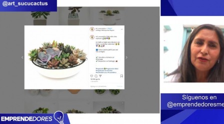Conoce el emprendimiento Art-Sucucactus: Expertos en cactus y suculentas