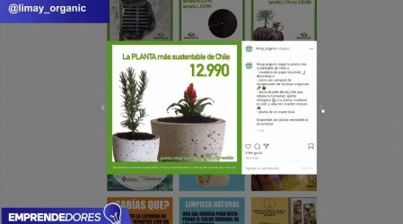 Peluquería, cocina y productos orgánicos: Conoce a tres nuevos emprendimientos en Pymes and The City