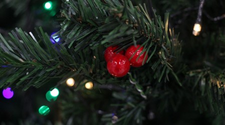 Aforo limitado y cordones sanitarios: Conoce el plan de Navidad y Año Nuevo del Gobierno