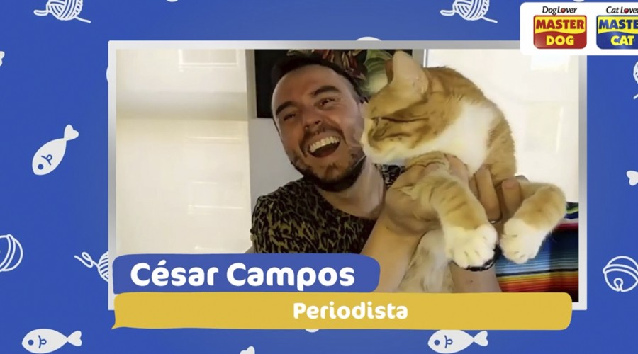 Conexión Única con tus Mascotas: César Campos presentó a sus gatos Arturo y Mérida