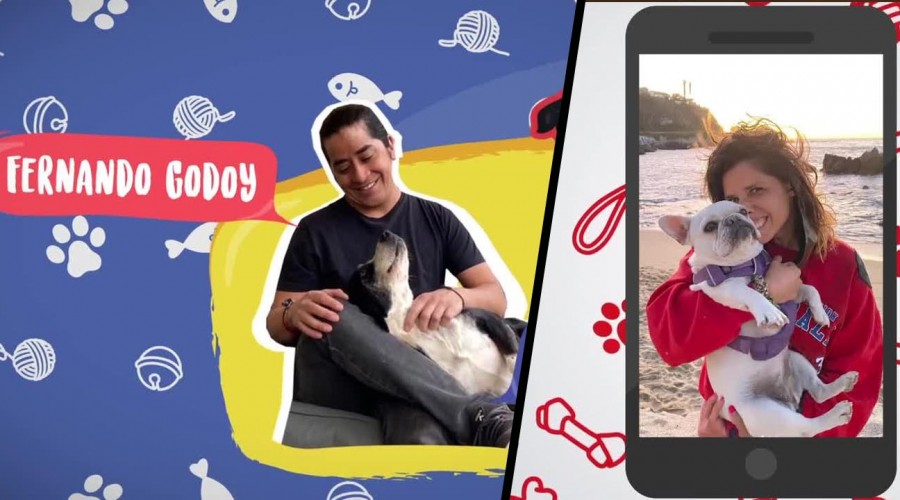 Conexión Única con mis Mascotas: Dayana Amigo nos presentó a su perrita Clara Conexión Única con mis Mascotas: Dayana Amigo nos presentó a su perrita Clara