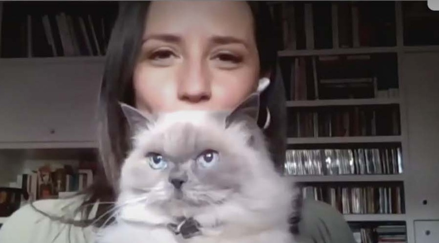 Conexión Única con tus Mascotas: Andrea Arístegui nos presenta a su gata Ami