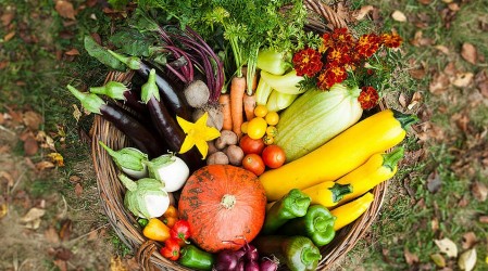 Nutricionista aconseja sobre cómo tener una alimentación saludable y cuidar al planeta