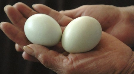 Huevos: Una opción saludable para reemplazar la carne roja y cuidar el planeta