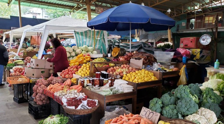 Elegir frutas y verduras de ferias libres contribuye a la disminución de gases contaminantes
