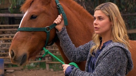 El caballo de Oscar León