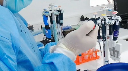 Cepa británica de coronavirus: Cuatro casos en La Pintana y 15 en todo Chile