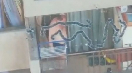 PDI investiga a pareja que fue registrada maltratando a un perrito en condominio de Santiago