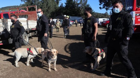 Caso Tomás Bravo: PDI realiza diligencias con perros adiestrados en la casa del menor
