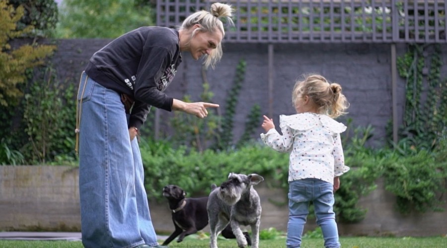 Plan V: Lo que se debe tener presente al integrar a una mascota en el hogar