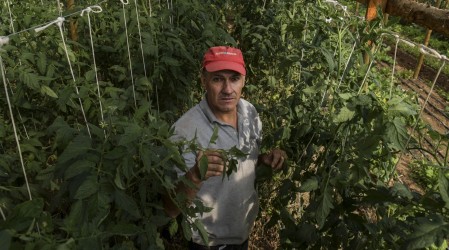 Monto supera los $220 mil: Conoce los requisitos para acceder al Bono Formalización del Trabajo