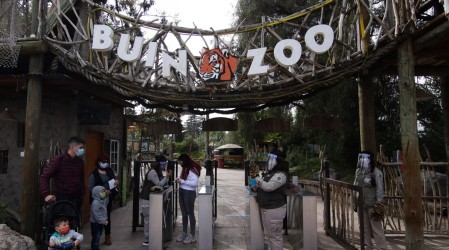 Buin Zoo reabrió sus puertas: Conoce los aforos y protocolos sanitarios para asistir