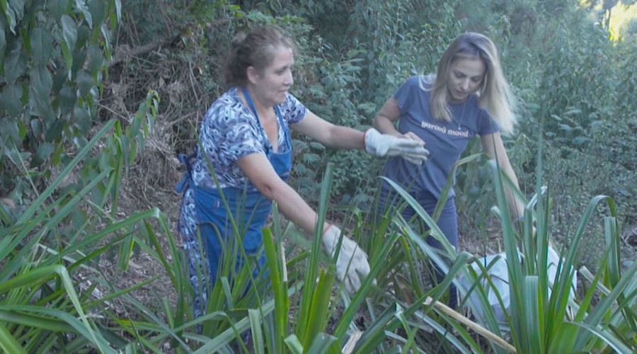 Mariana Derderián quedó maravillada con Valdivia y sus alrededores