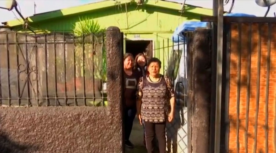 "Queme su casa": Mujer jubilada que sufre invasión de termitas en su hogar recibe respuesta tras pedir ayuda